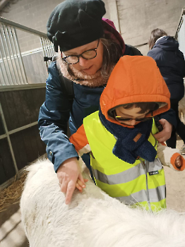 hupjes op de boerderij_237