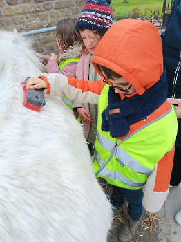 hupjes op de boerderij_238