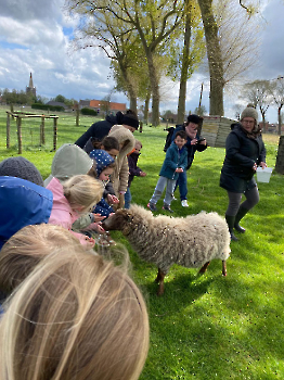 hupjes op de boerderij_23