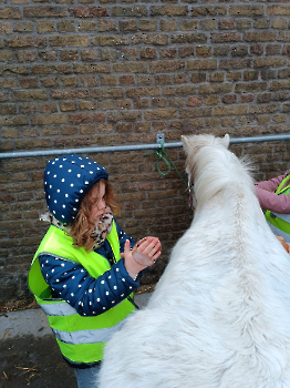 hupjes op de boerderij_240