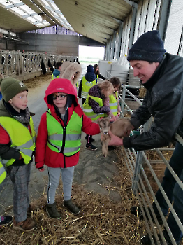 hupjes op de boerderij_242