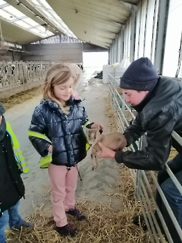 hupjes op de boerderij_250