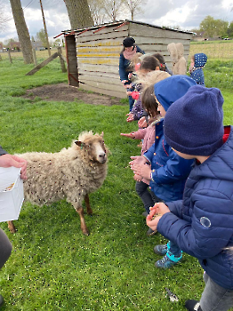 hupjes op de boerderij_32