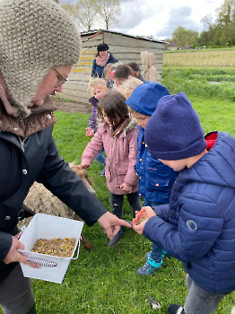 hupjes op de boerderij_33