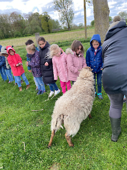 hupjes op de boerderij_45