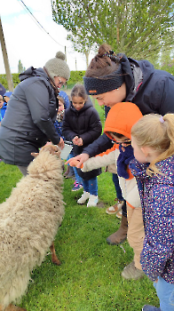 hupjes op de boerderij_67