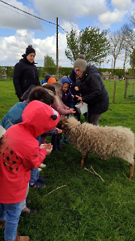 hupjes op de boerderij_68