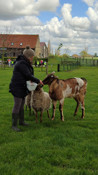 hupjes op de boerderij_71