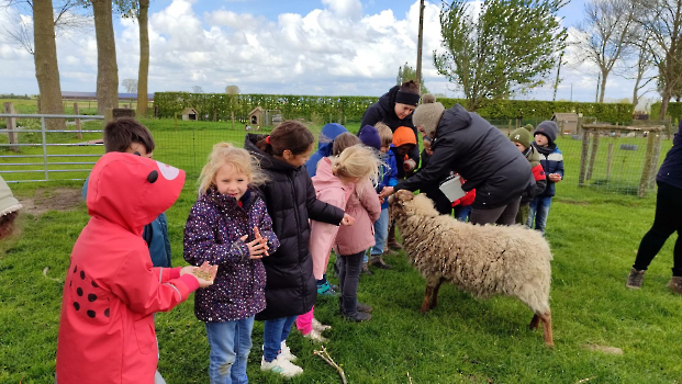 hupjes op de boerderij_72