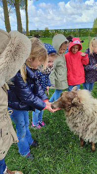 hupjes op de boerderij_74