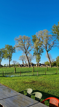 samen op de boerderij_38